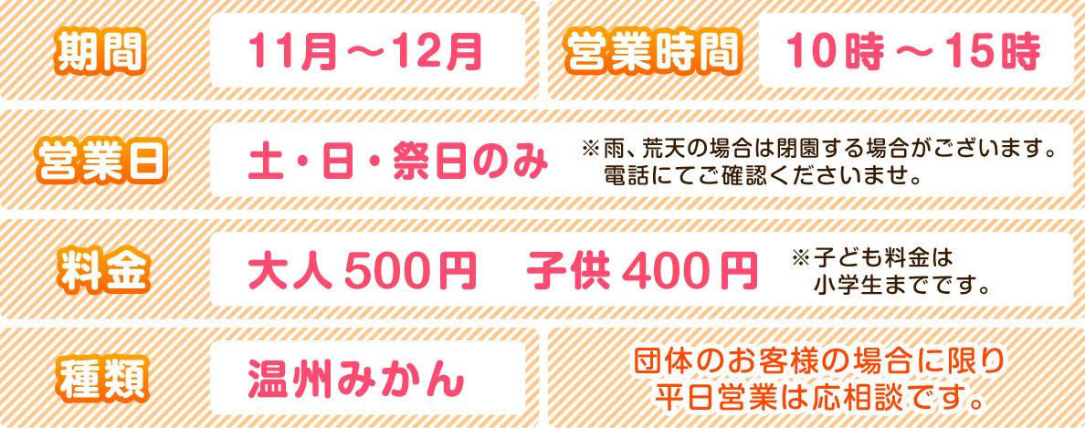 期間・営業時間・営業日・料金・種類